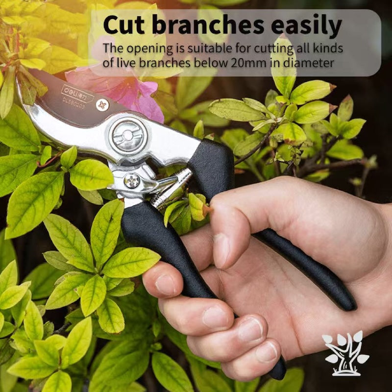 Fruit branch shears, household gardening shears, flower branch trimming tools