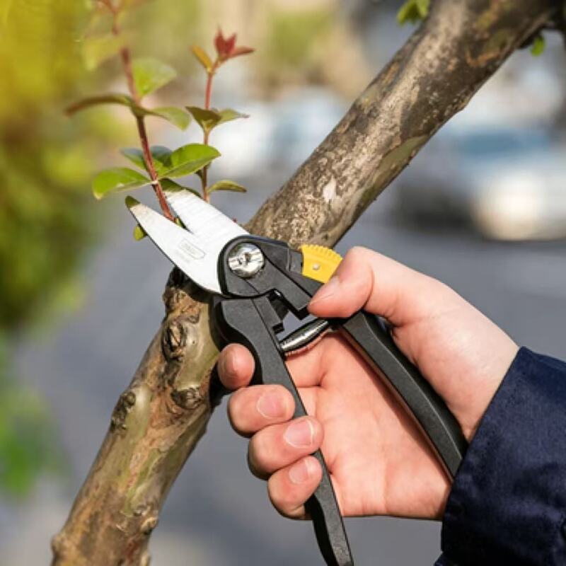 Fine branch shears, flower branch trimming tools
