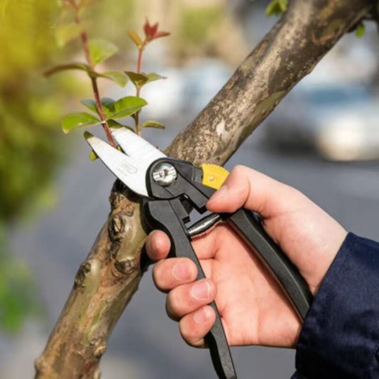 Fine branch shears, flower branch trimming tools